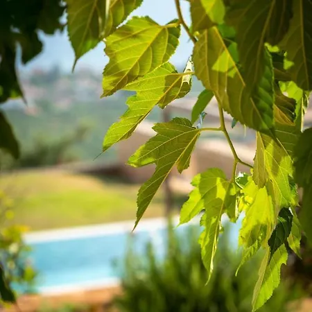 Villa Kika Residences *